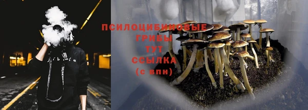 Альфа ПВП Волоколамск
